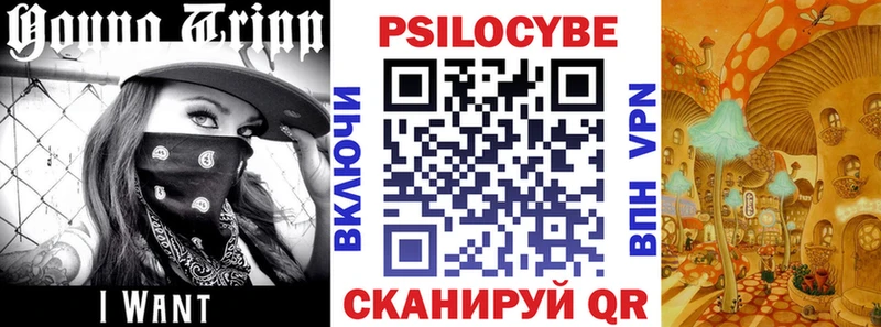 сколько стоит  Лабытнанги  Галлюциногенные грибы Magic Shrooms 